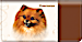 Pomeranian Checkbook Cover