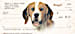 Beagle Dog Personal Checks