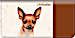 Chihuahua Checkbook Cover
