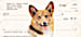 Corgi Personal Checks