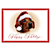 Oh, By Golly! Look Who's Jolly! Put Some Puppy Love in Your Season's Greetings