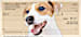 Faithful Friends - Jack Russell Terrier Personal Checks