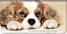 Faithful Friends - Cavalier King Charles Checkbook Cover