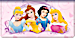 Disney Princess Dreams Checkbook Cover