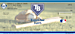 Tampa Bay Rays Major League Baseball Personal Checks