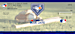 Toronto Blue Jays Major League Baseball Personal Checks