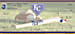 Kansas City Royals Major League Baseball Personal Checks