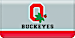 Ohio State University Checkbook Cover