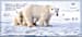 Polar Bears Personal Checks