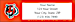 Cincinnati Bengals NFL Return Address Label