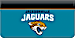 Jacksonville Jaguars NFL Checkbook Cover