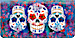 Day of the Dead Checkbook Cover