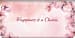 Affirmations of Life Checkbook Cover