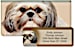 Faithful Friends - Shih Tzu Bonus Buy