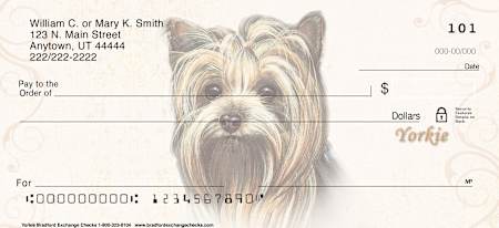 Yorkie