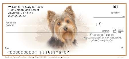 Best Breeds - Yorkshire Terrier