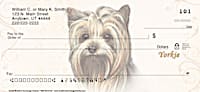 Yorkie