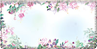 Lena Liu's Floral Borders