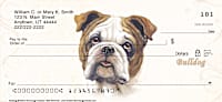 Bulldog