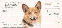 Corgi