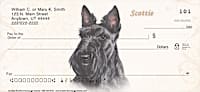 Scottie
