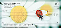 Lady Bug Luck