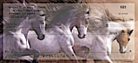 Equus