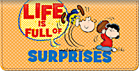 Peanuts Wisdom and Wit