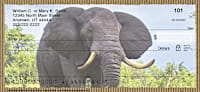 Elephants