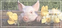 Pigs