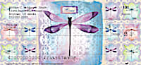 Dragonflies