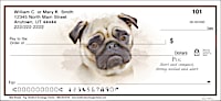 Best Breeds - Pug