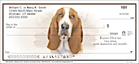 Best Breeds - Basset Hound