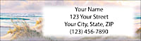A Walk on the Beach
