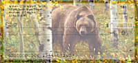 Bears