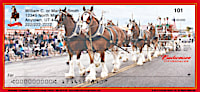Budweiser Clydesdales