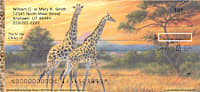 Giraffes