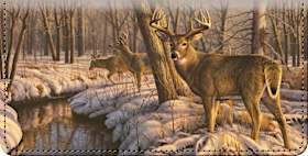 Winter Calm