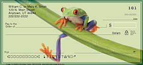 Froggy Fun