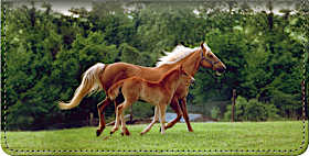 Unbridled Joy