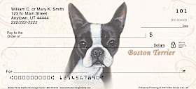 Boston Terrier