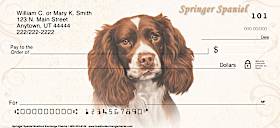 Springer Spaniel