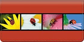 Lady Bug Luck