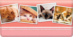 Rescued is Something to Purr About