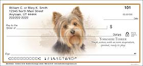 Best Breeds - Yorkshire Terrier