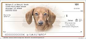 Best Breeds - Dachshund