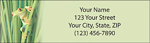 Froggy Fun Return Address Label