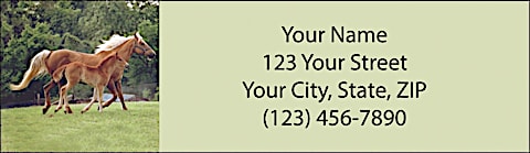 Unbridled Joy Return Address Label