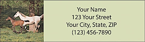 Unbridled Joy Return Address Label