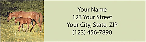 Unbridled Joy Return Address Label